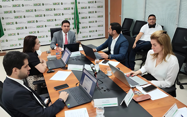 Conselho Diretor julga 19 processos em oitava sessão anual de 2025