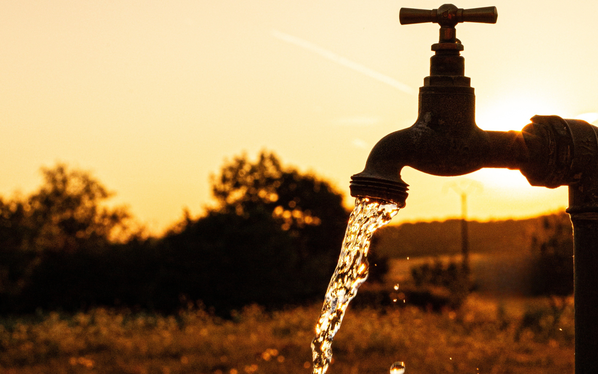 Arce intensifica fiscalização e inspeciona 31 localidades cearenses em março